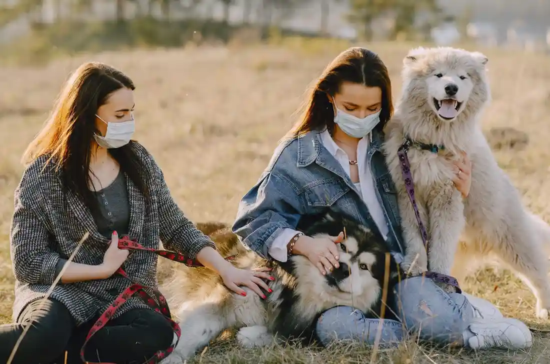 5 tips to save money on pet care in Australia (Complete Guide 2026)