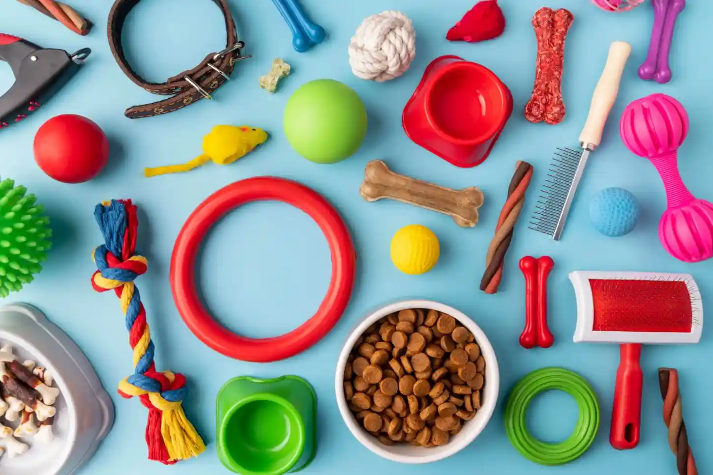 12 Best Pet Accessories in Australia You Can Buy With Coupons