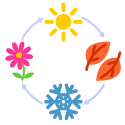 Seasonal