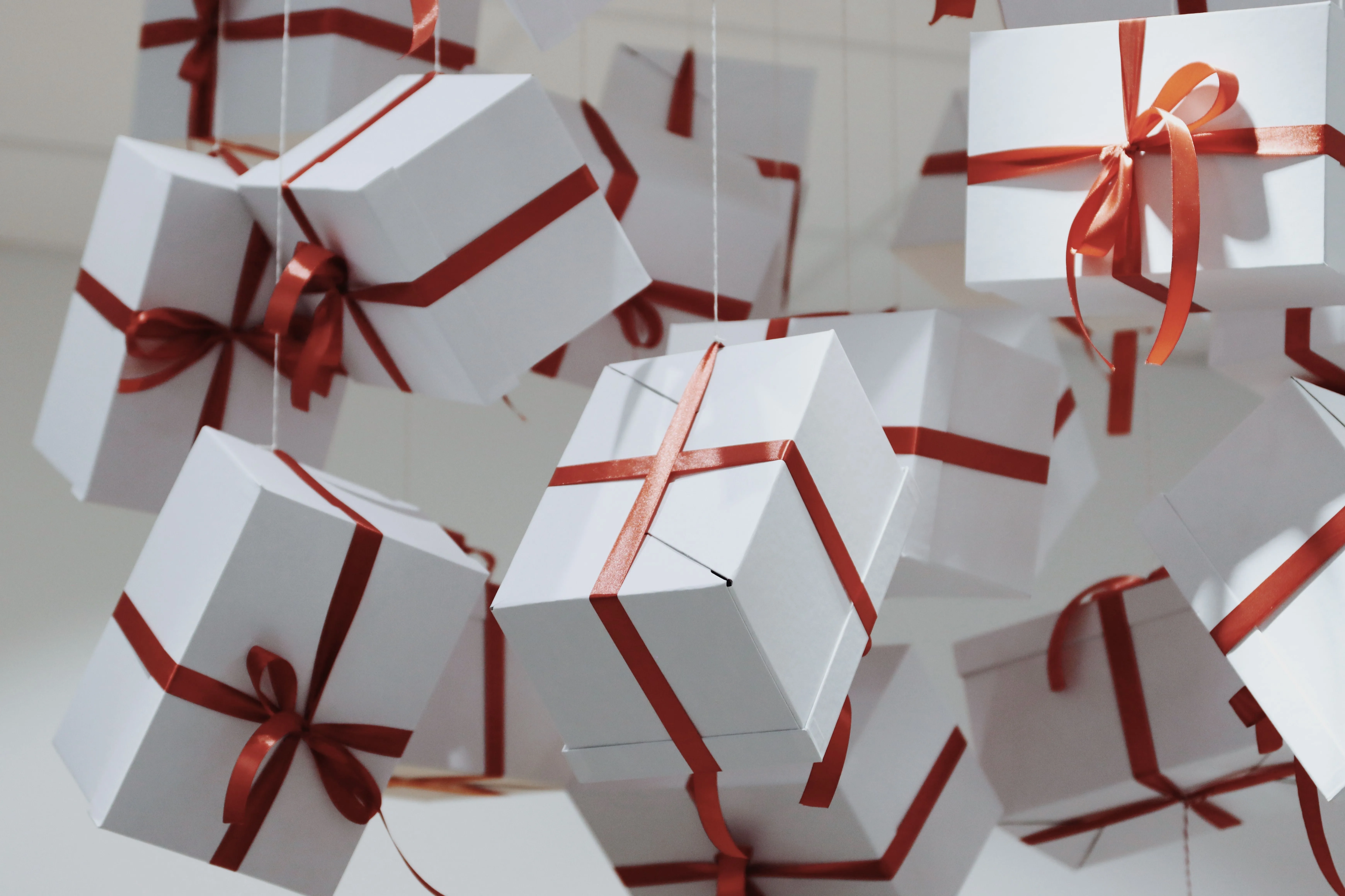 Ready to Find Your Next Gift?