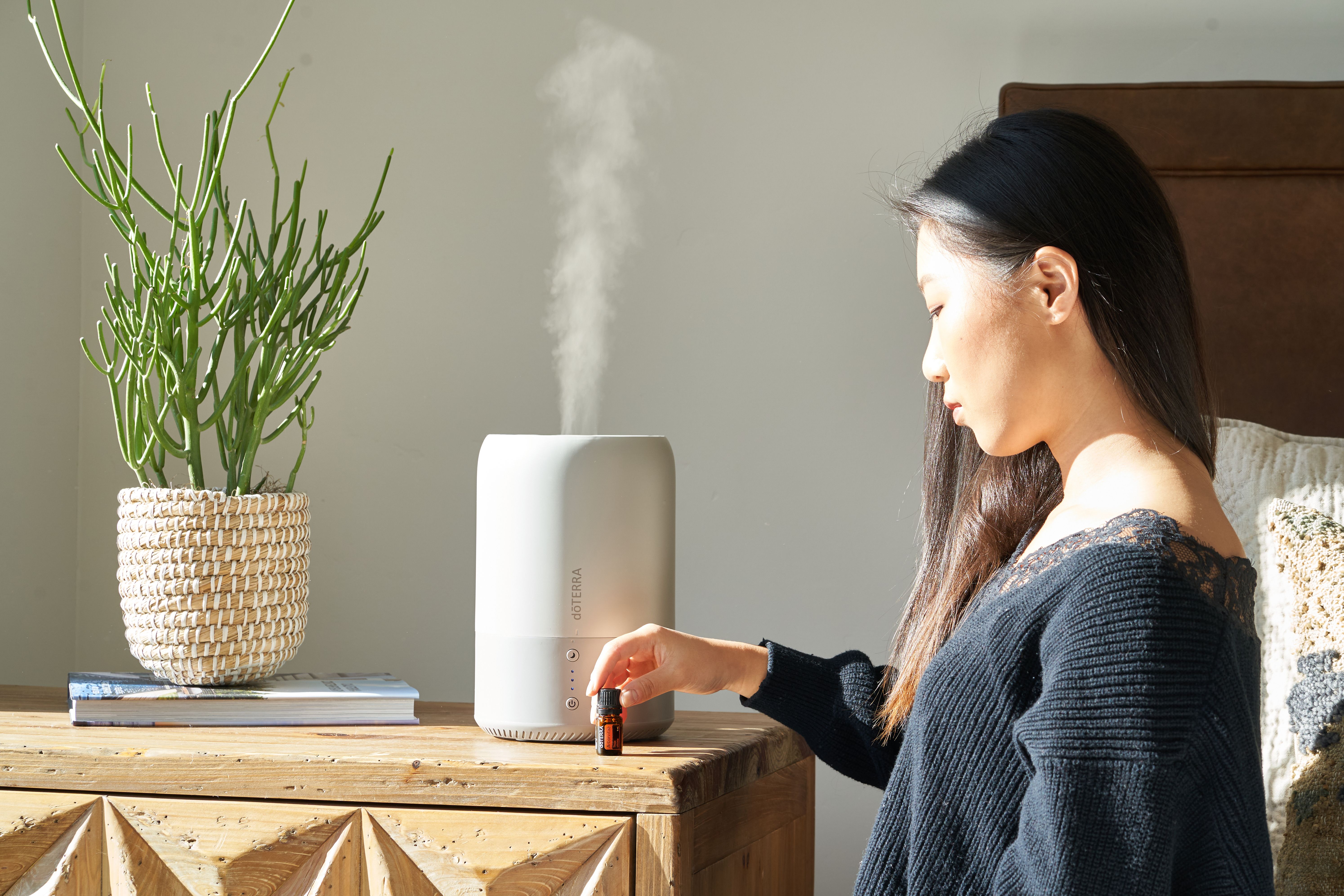 Find Your Ideal Humidifier