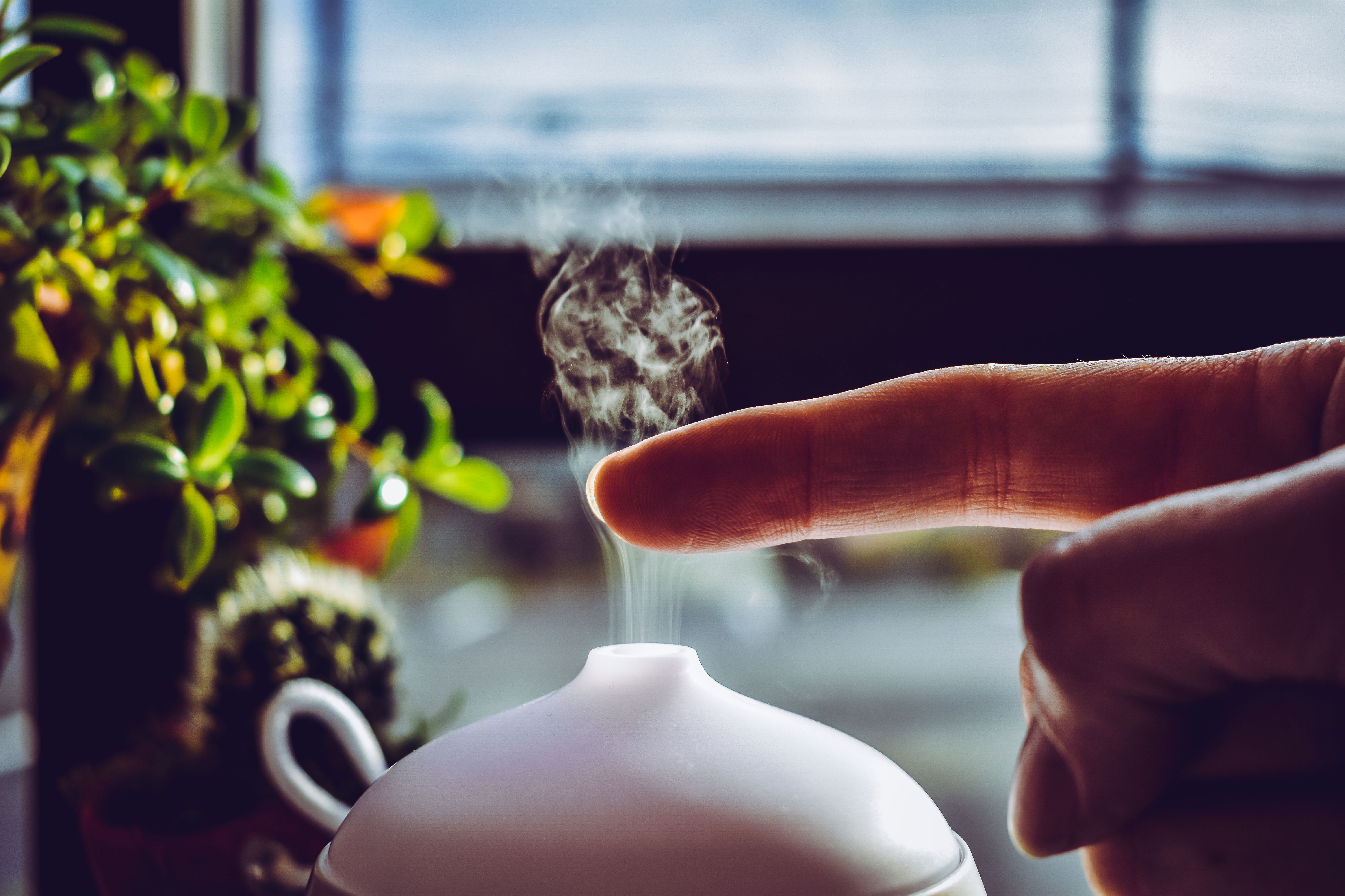 Fix Your Home Air for Less